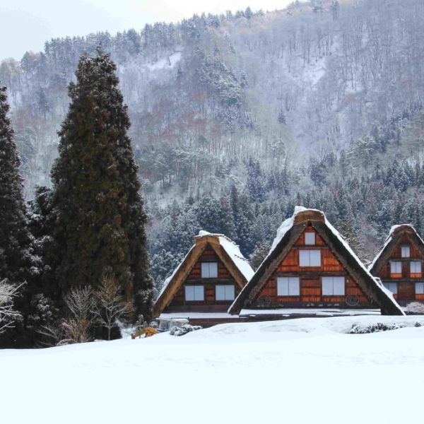 極致美饌風采綻放 冬織時令開運序章