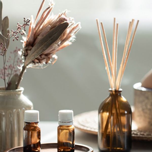 BYREDO歸途重逢 雅詩蘭黛特潤修護 LADOR微光奇蹟