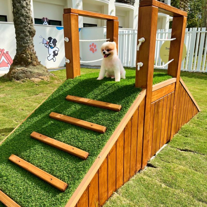 威斯汀毛孩樂園 共好奢華假期