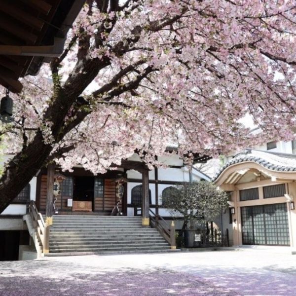 東京開運巡禮 梳洗療癒迎新旅程